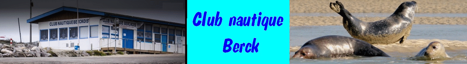 LogoClub31.jpg